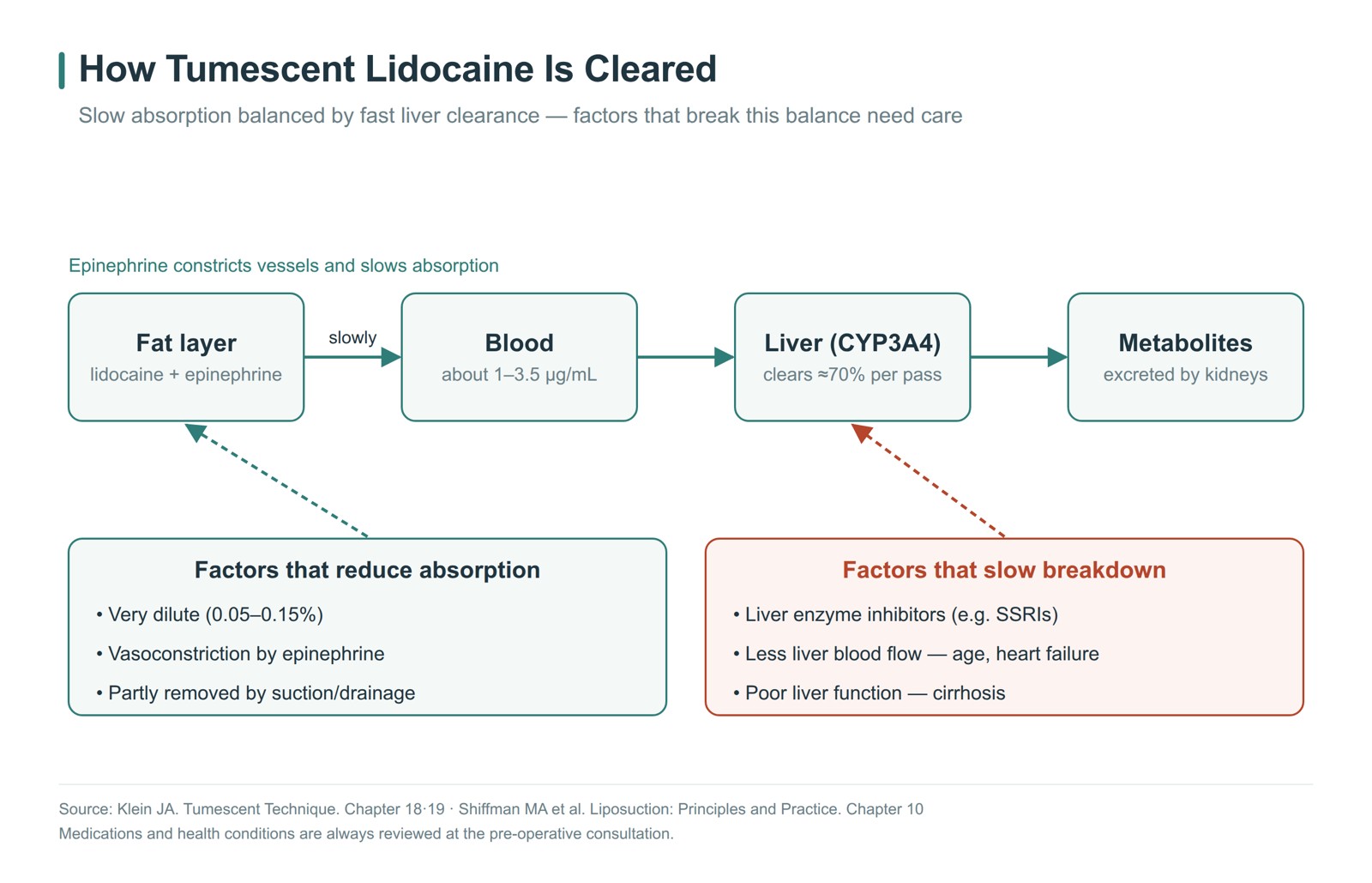 Flow chart of tumescent lidocaine absorption and breakdown — slowly absorbed from the fat layer and cleared by the liver; liver enzyme–inhibiting drugs, reduced liver blood flow and impaired liver function slow its breakdown
