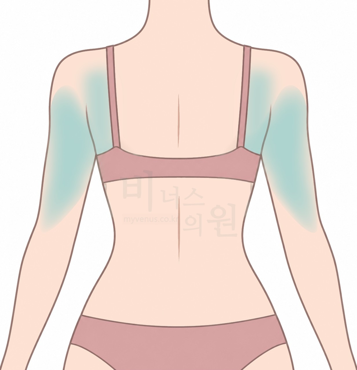 Vector illustration of the back view showing where the back of the arm, back armpit, and bra line connect