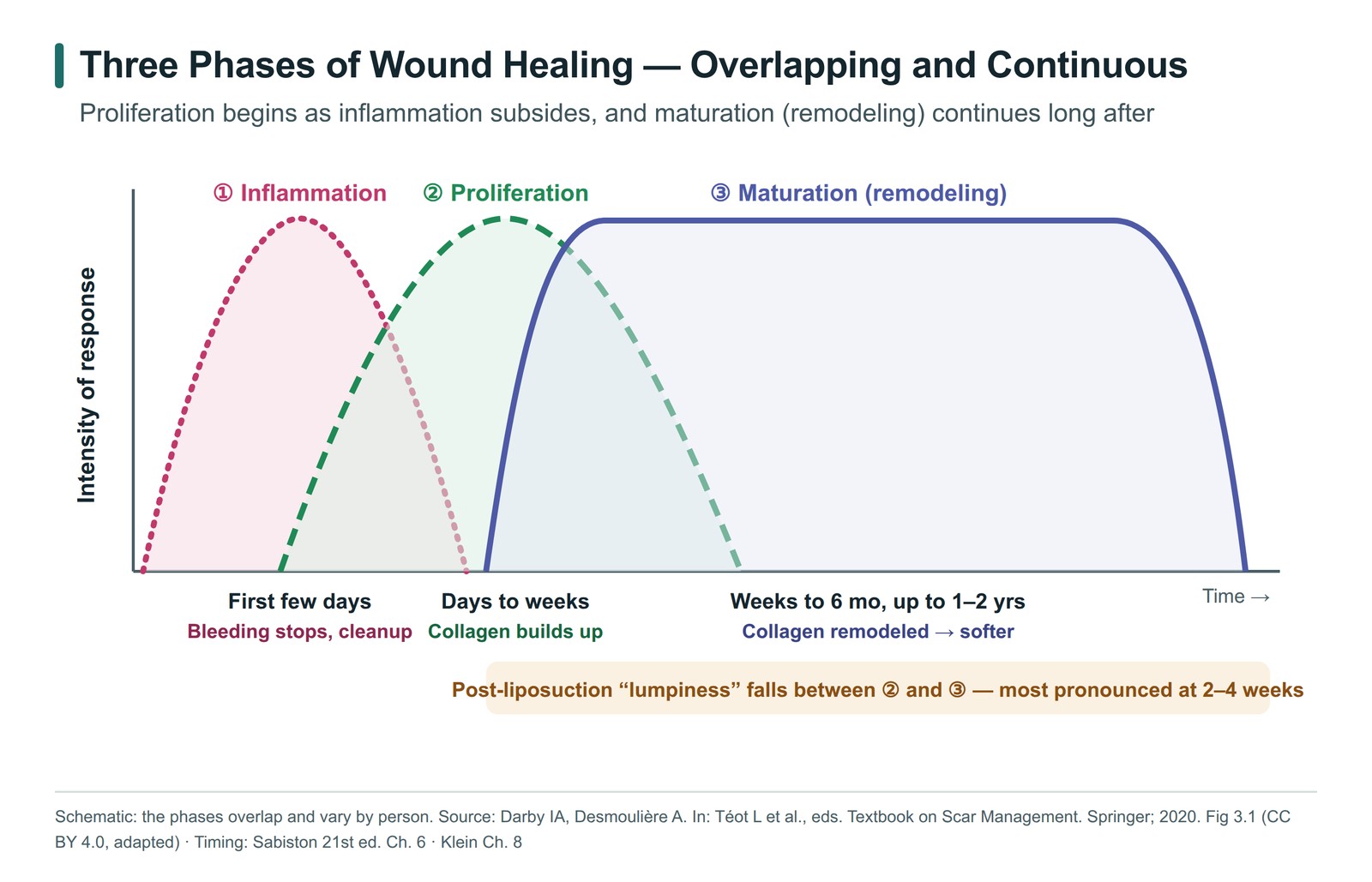 Diagram of three overlapping wound-healing phases: inflammation, proliferation and maturation