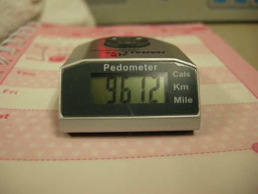 Pedometer reading