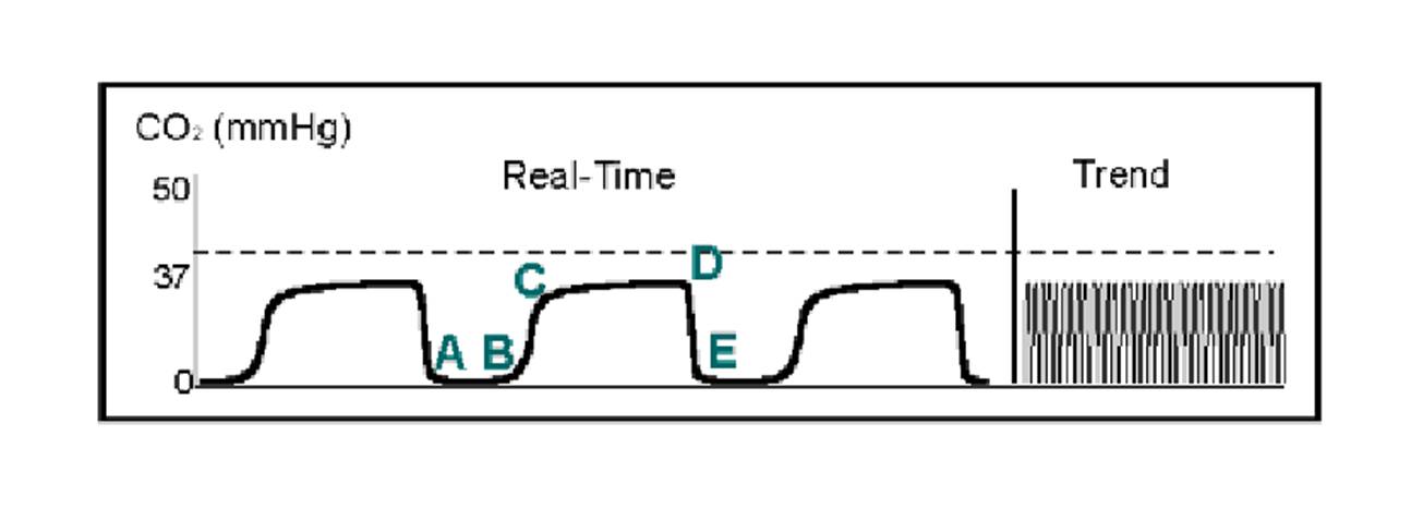 Figure4.jpg