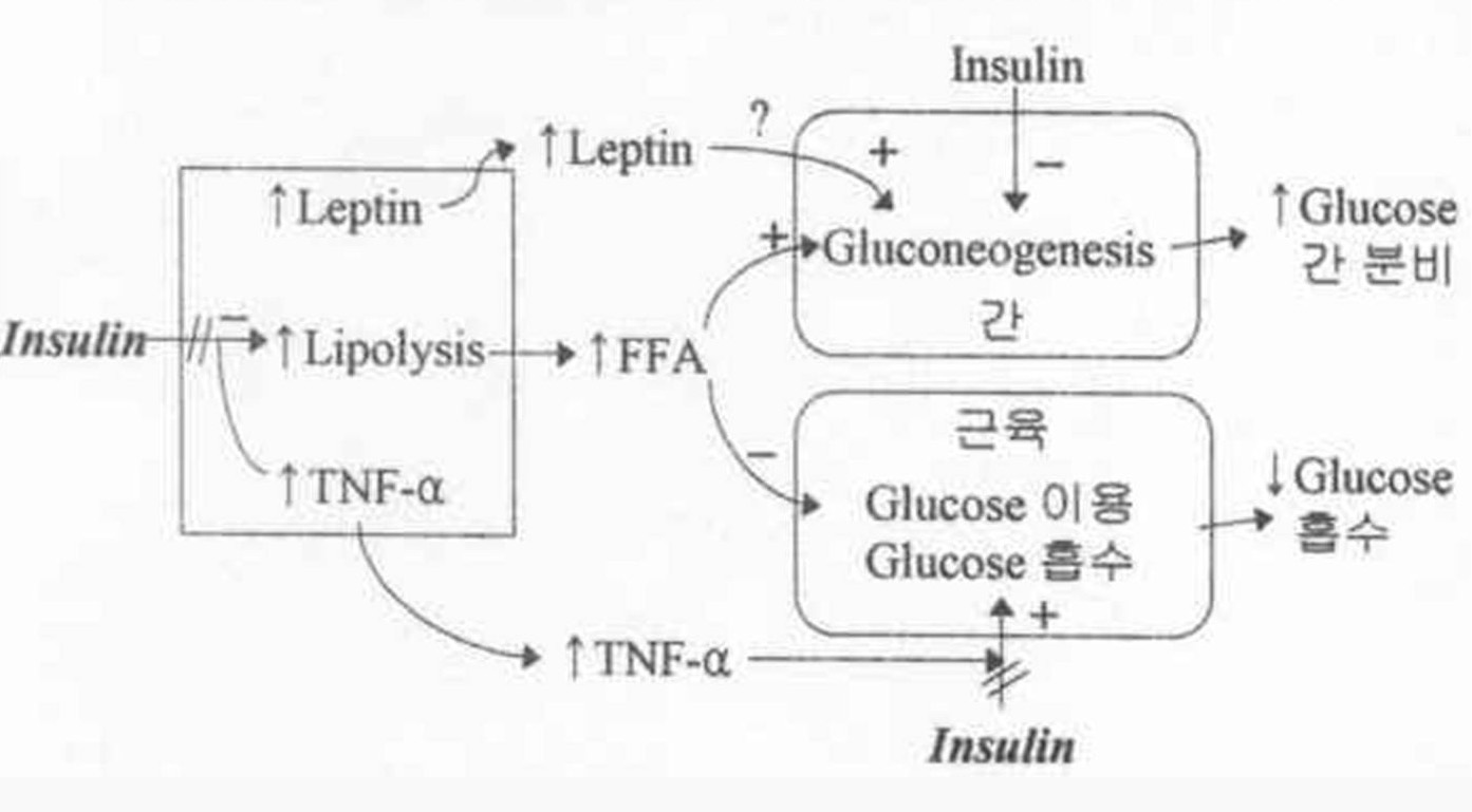insulin.jpg